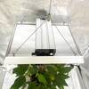 低エネルギー水耕性LEDはトマトのために光を成長させます