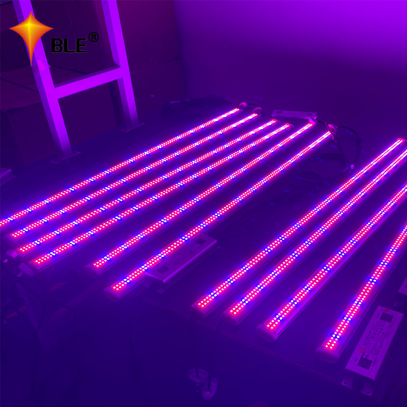 蘭のためのハイパワー60ワット線形LED成長ライト