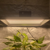 植物植物のための園芸400ワットLEDが光を増やします