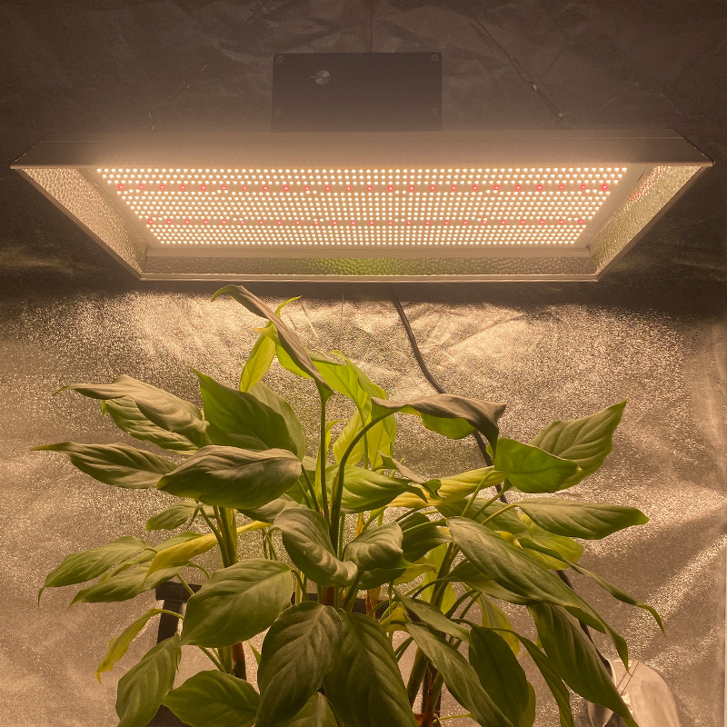 低エネルギーガーデンLED熱帯植物のための光を成長させる