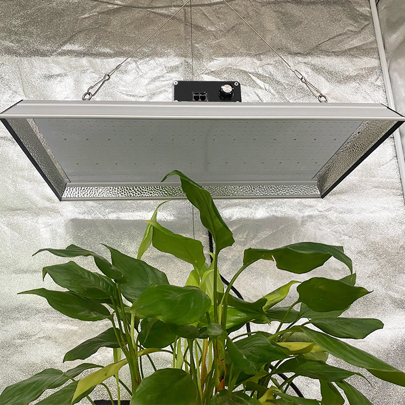 熱帯植物のための庭の200wの導かれたグローライト