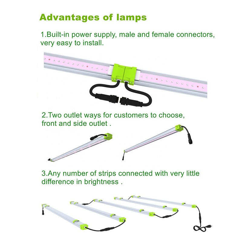 蘭のための防水100w線形LED成長ライト