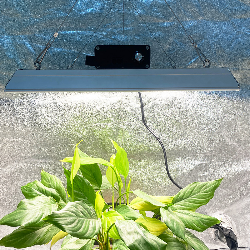 高性能の庭は熱帯植物のための光を成長させました
